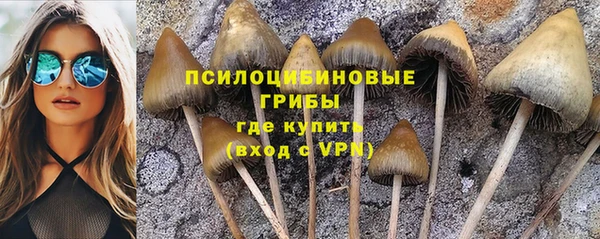 не бодяженный Магас